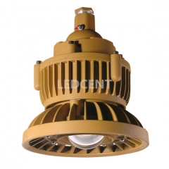 LED explosion-proof flood light